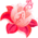 mm-ast-icon-49296